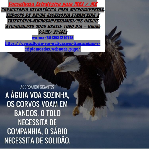 Consultoria e Assessoria Financeira Empresarial e Pessoal Trending Bus